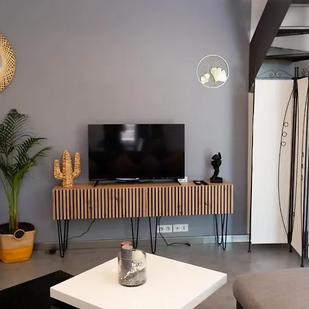 Appartement Duplex Moderne Centre Narbonne